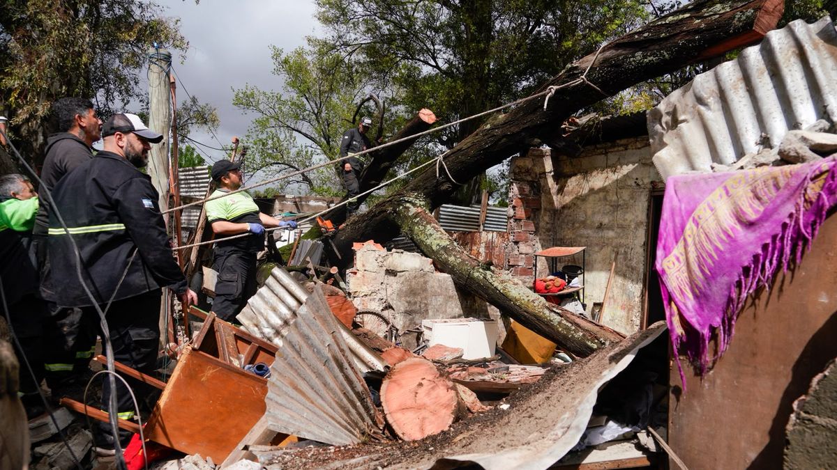 Árbol se desploma sobre viviendas en Villa Banana y deja dos niños hospitalizados