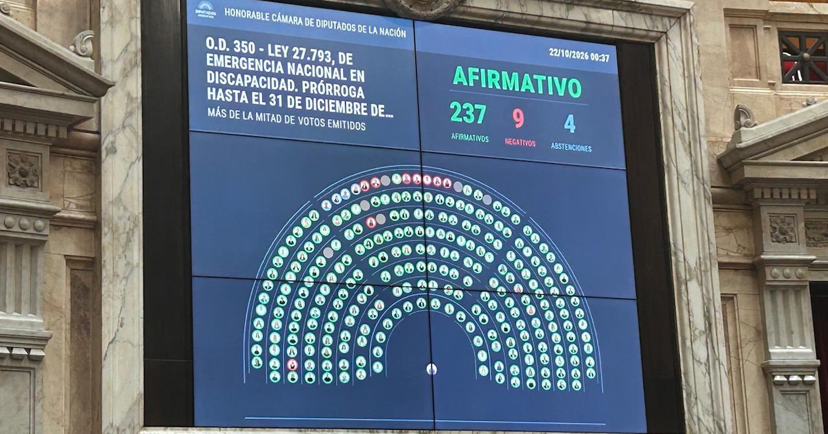 Cámara aprueba Ley de Discapacidad con amplia mayoría y media sanción