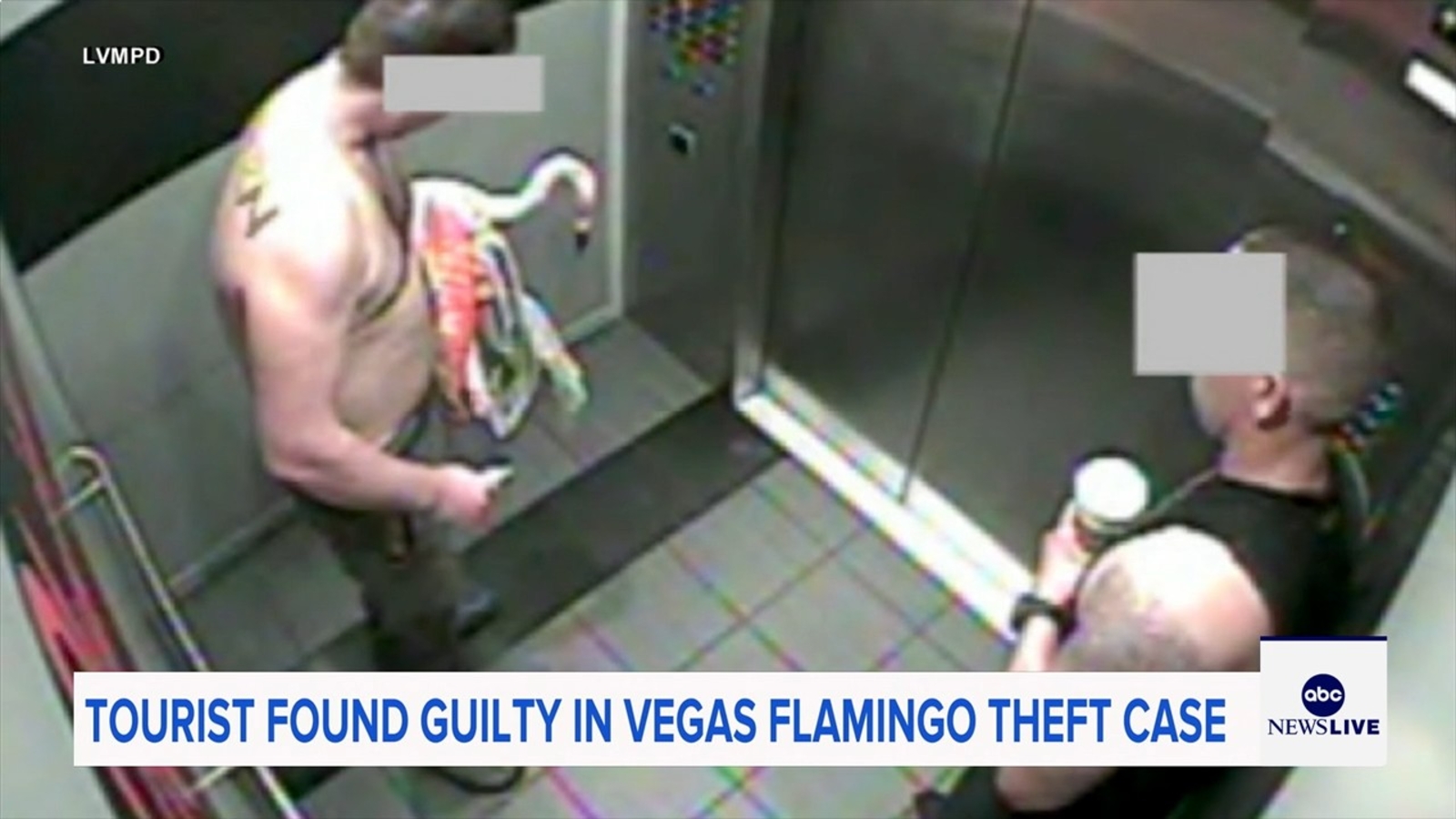 Canadiense condenado por maltrato a flamenco en hotel de Las Vegas