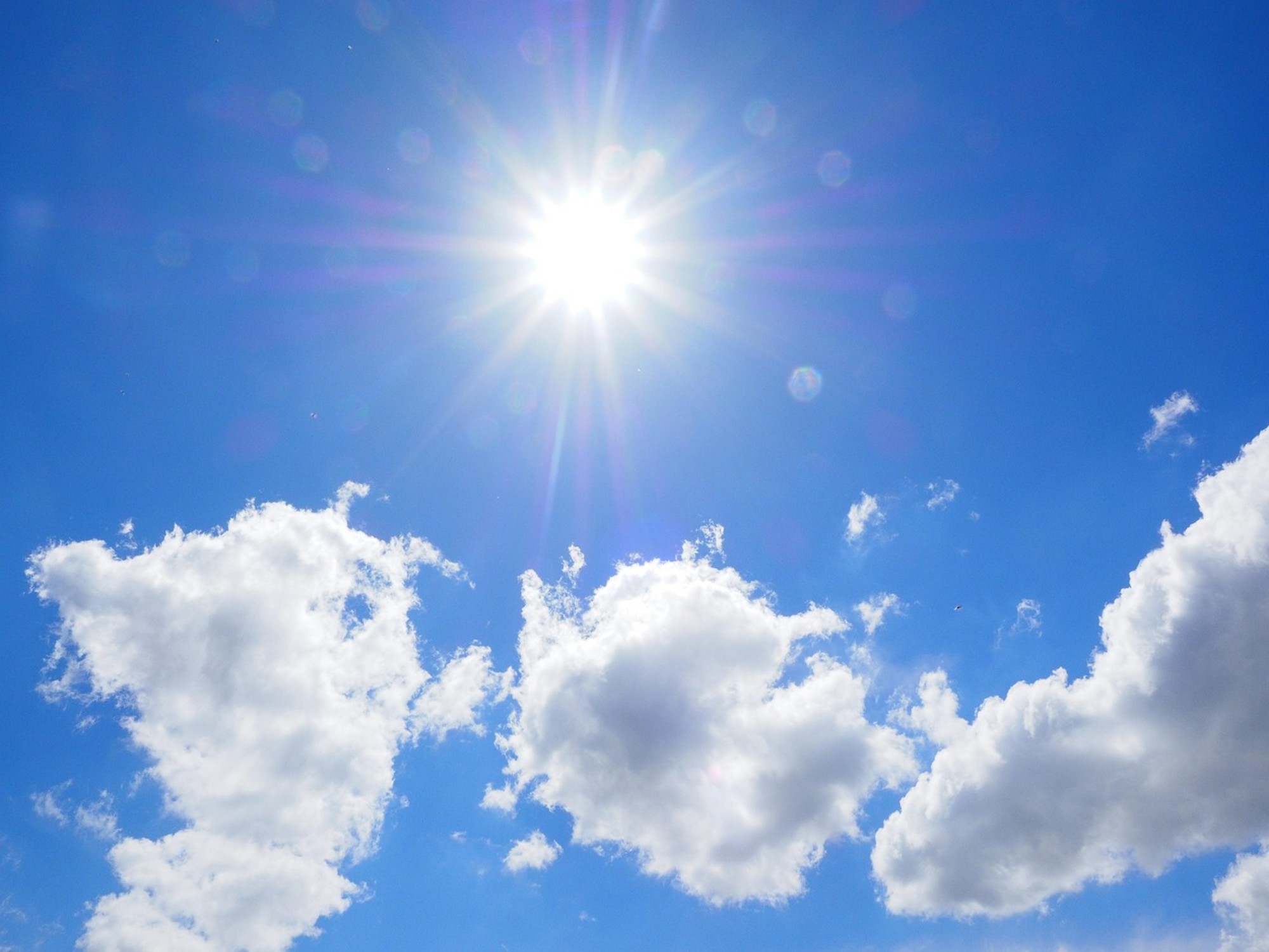 Pronóstico del tiempo en La Plata para el lunes 12 de octubre: temperaturas entre 9 °C y 15 °C y sin lluvias