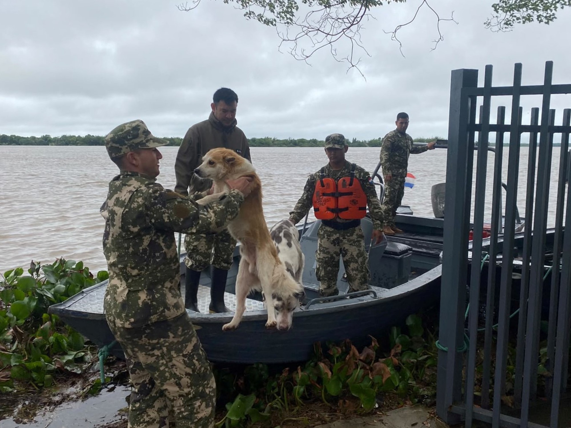 El Niño 2026: fuertes lluvias, evacuaciones y desafíos para Argentina y el mundo